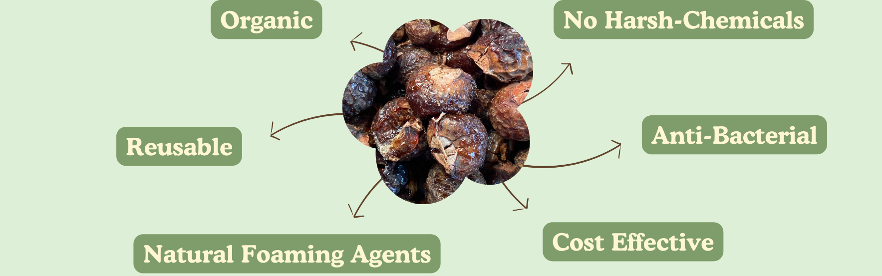 In the centre there is a close up image of soap berries / soap nuts in the shape of a flower. The image is the centre of a spider diagram which has words in cream writing with green background behind them. The words say (clockwise) no-harsh chemicals, anti-bacterial, cost-effective, natural foaming agents, reusable, organic.